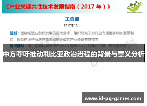 中方呼吁推动利比亚政治进程的背景与意义分析