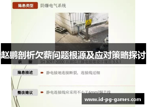 赵鹏剖析欠薪问题根源及应对策略探讨